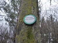 6  Saverne LE WASSERWALD 05 03 2017 28